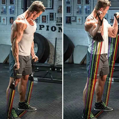 Ultimate 11-Piece TPE Resistance Bands Set for Total Body Strength Training - Includes Door Anchor, Handles, Carry Bag, and Ankle Straps